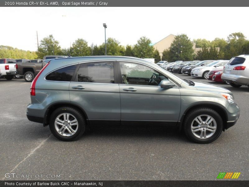 Opal Sage Metallic / Gray 2010 Honda CR-V EX-L AWD