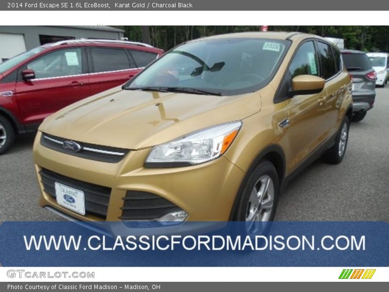 Karat Gold / Charcoal Black 2014 Ford Escape SE 1.6L EcoBoost