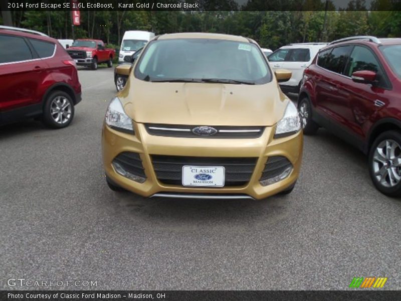 Karat Gold / Charcoal Black 2014 Ford Escape SE 1.6L EcoBoost