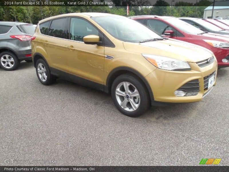 Karat Gold / Charcoal Black 2014 Ford Escape SE 1.6L EcoBoost