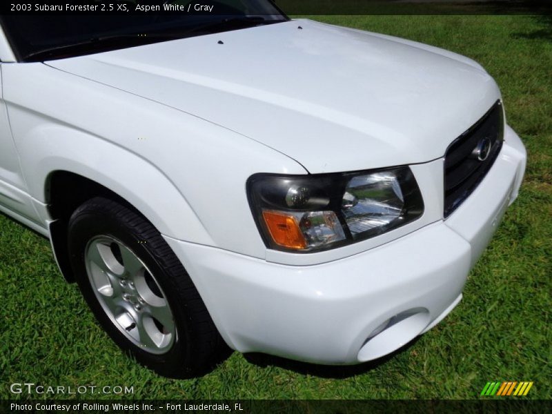Aspen White / Gray 2003 Subaru Forester 2.5 XS
