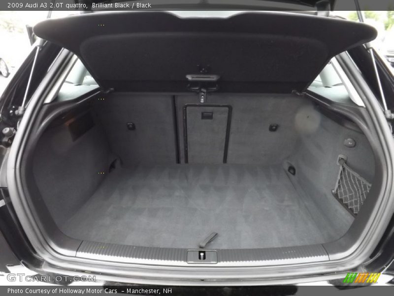 Brilliant Black / Black 2009 Audi A3 2.0T quattro