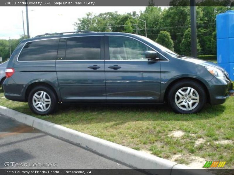 Sage Brush Pearl / Gray 2005 Honda Odyssey EX-L