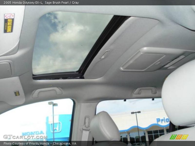 Sage Brush Pearl / Gray 2005 Honda Odyssey EX-L