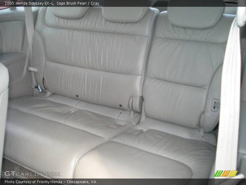 Sage Brush Pearl / Gray 2005 Honda Odyssey EX-L
