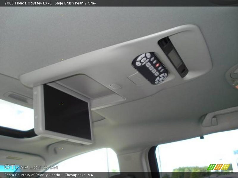 Sage Brush Pearl / Gray 2005 Honda Odyssey EX-L
