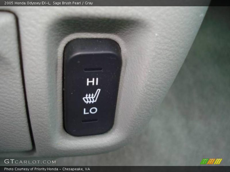 Sage Brush Pearl / Gray 2005 Honda Odyssey EX-L