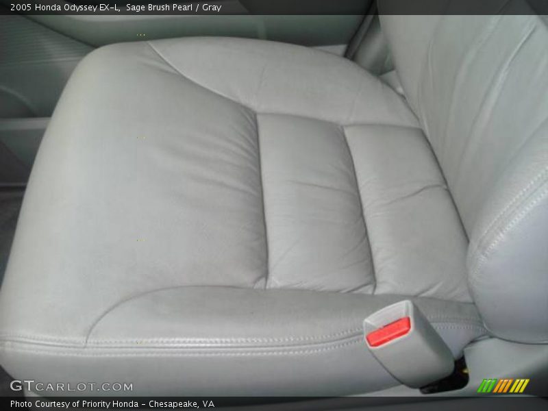 Sage Brush Pearl / Gray 2005 Honda Odyssey EX-L