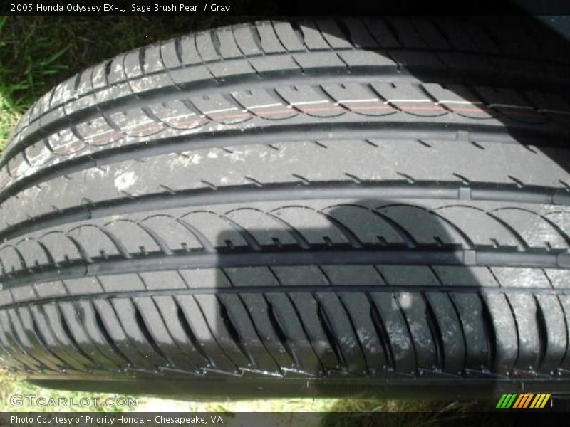 Sage Brush Pearl / Gray 2005 Honda Odyssey EX-L