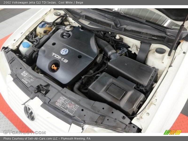 Cool White / Beige 2002 Volkswagen Jetta GLS TDI Sedan