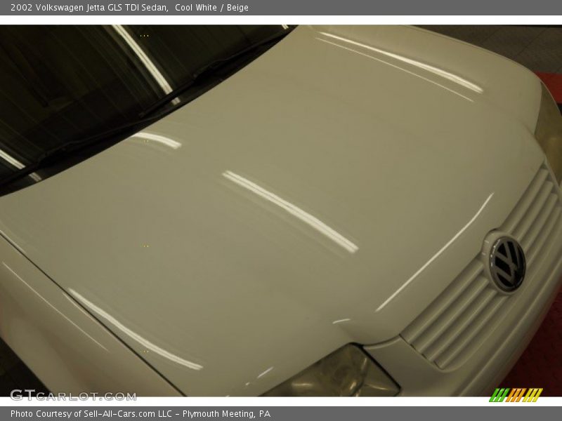 Cool White / Beige 2002 Volkswagen Jetta GLS TDI Sedan