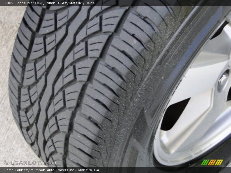 Nimbus Gray Metallic / Beige 2009 Honda Pilot EX-L