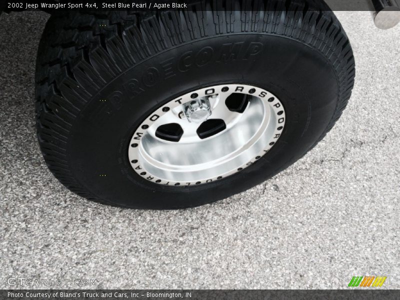 Steel Blue Pearl / Agate Black 2002 Jeep Wrangler Sport 4x4