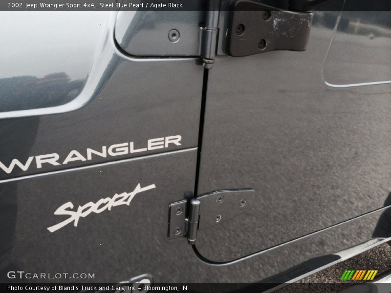 Steel Blue Pearl / Agate Black 2002 Jeep Wrangler Sport 4x4