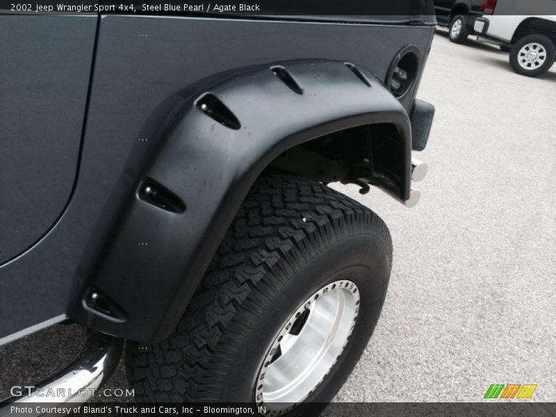 Steel Blue Pearl / Agate Black 2002 Jeep Wrangler Sport 4x4