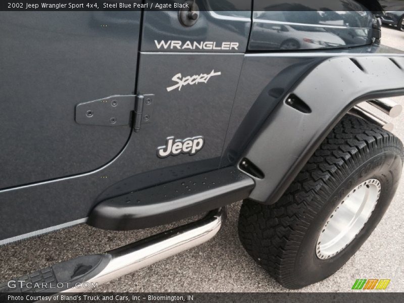 Steel Blue Pearl / Agate Black 2002 Jeep Wrangler Sport 4x4