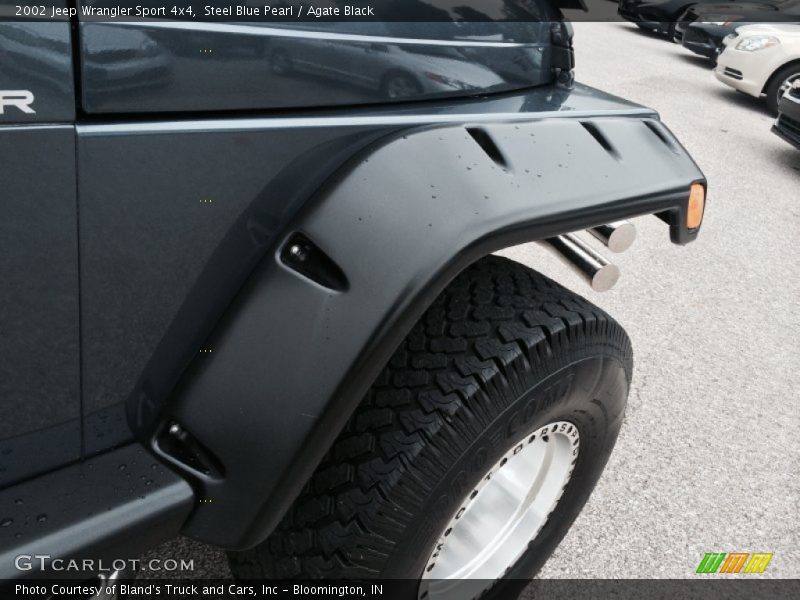 Steel Blue Pearl / Agate Black 2002 Jeep Wrangler Sport 4x4