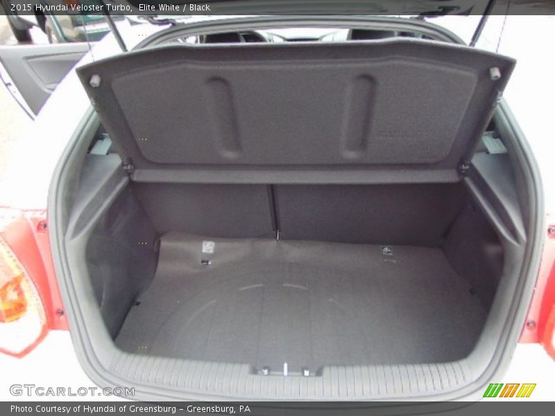 Elite White / Black 2015 Hyundai Veloster Turbo
