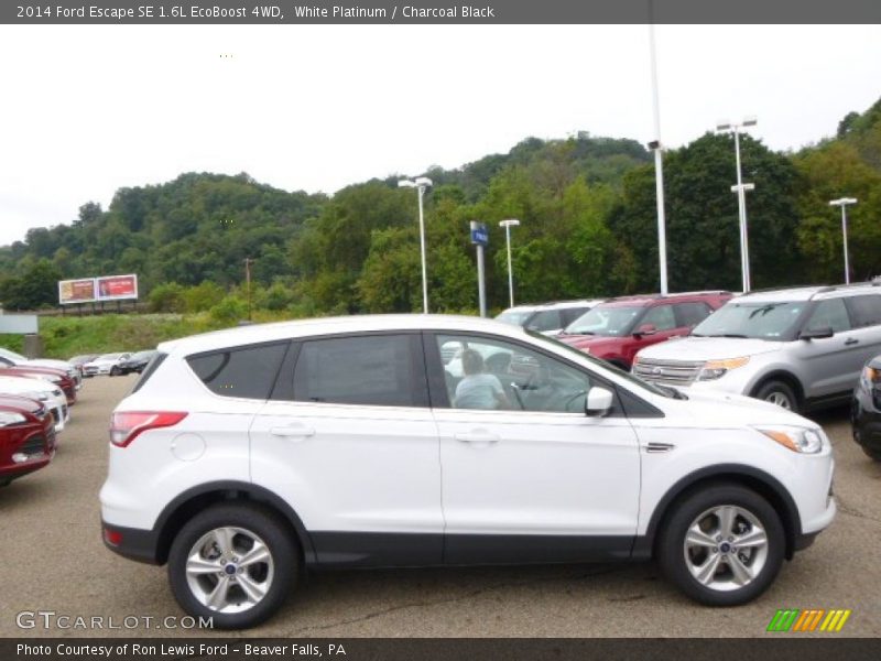 White Platinum / Charcoal Black 2014 Ford Escape SE 1.6L EcoBoost 4WD
