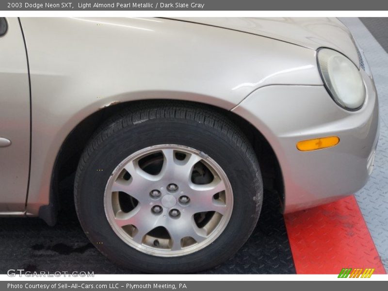 Light Almond Pearl Metallic / Dark Slate Gray 2003 Dodge Neon SXT