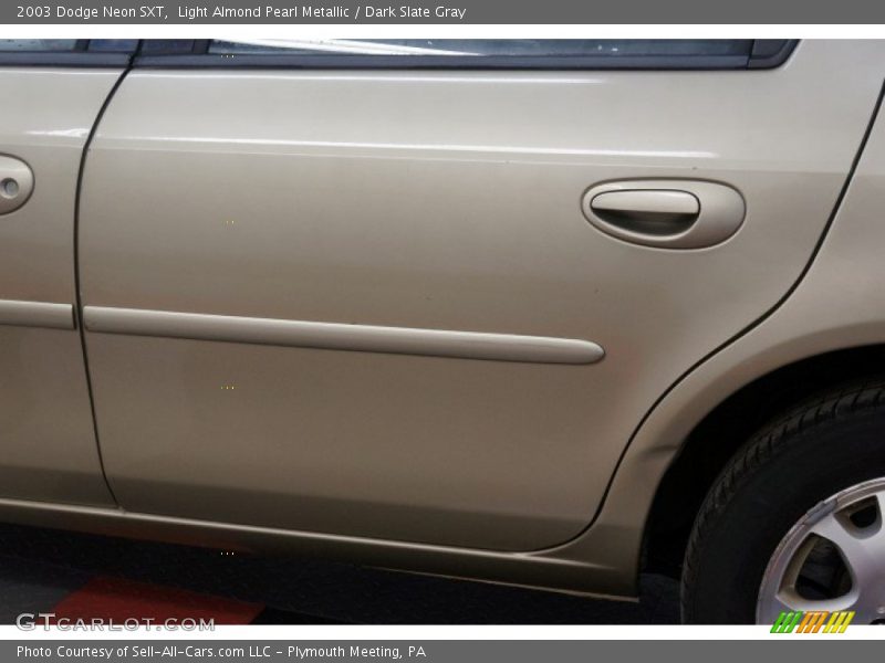 Light Almond Pearl Metallic / Dark Slate Gray 2003 Dodge Neon SXT