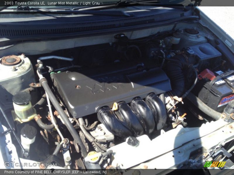 Lunar Mist Metallic / Light Gray 2003 Toyota Corolla LE