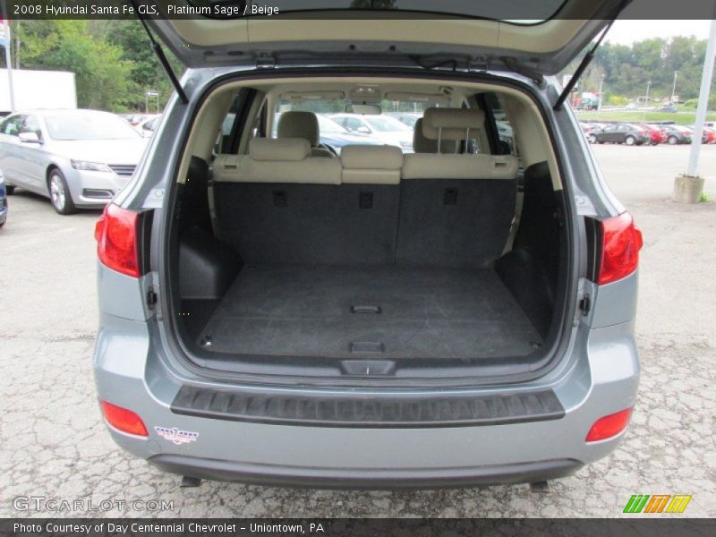 Platinum Sage / Beige 2008 Hyundai Santa Fe GLS