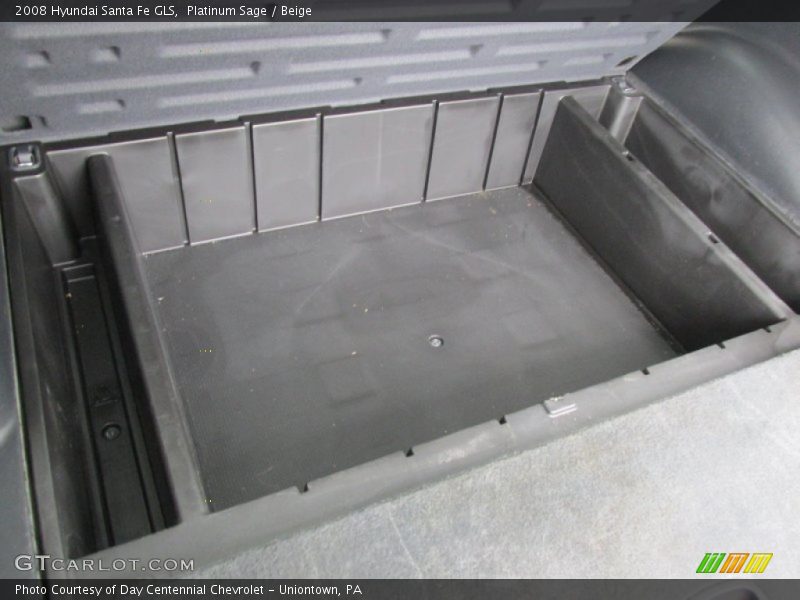 Platinum Sage / Beige 2008 Hyundai Santa Fe GLS