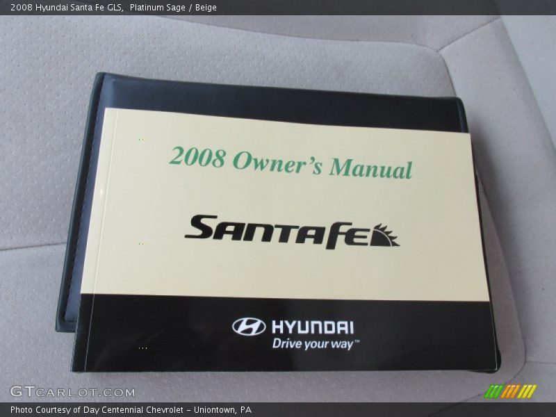 Platinum Sage / Beige 2008 Hyundai Santa Fe GLS