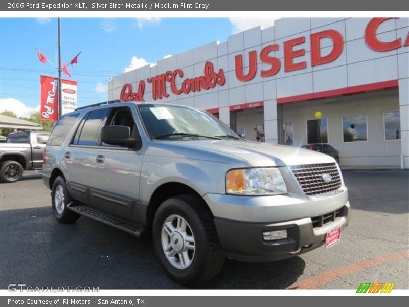Silver Birch Metallic / Medium Flint Grey 2006 Ford Expedition XLT