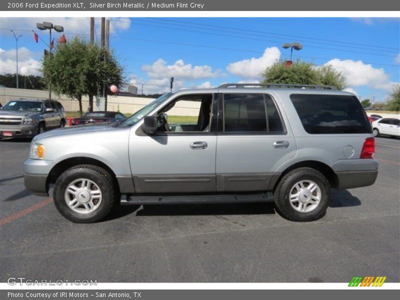  2006 Expedition XLT Silver Birch Metallic