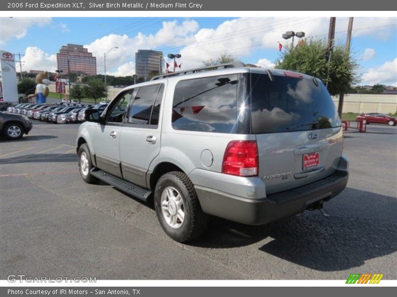 Silver Birch Metallic / Medium Flint Grey 2006 Ford Expedition XLT