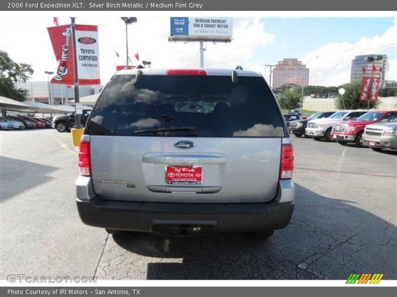 Silver Birch Metallic / Medium Flint Grey 2006 Ford Expedition XLT