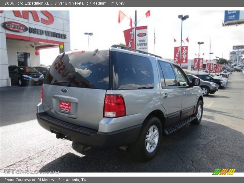 Silver Birch Metallic / Medium Flint Grey 2006 Ford Expedition XLT