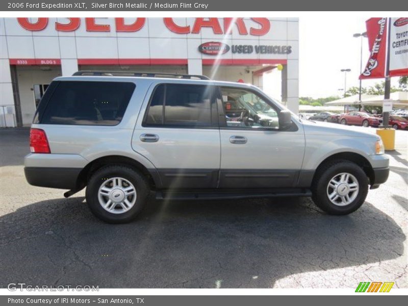 Silver Birch Metallic / Medium Flint Grey 2006 Ford Expedition XLT