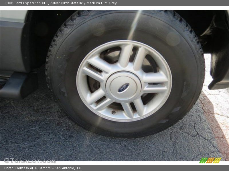 Silver Birch Metallic / Medium Flint Grey 2006 Ford Expedition XLT