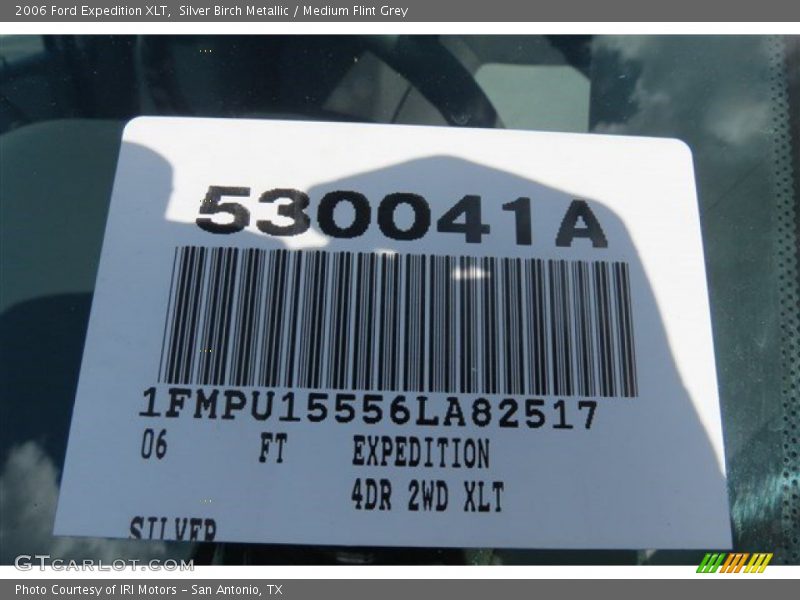 Silver Birch Metallic / Medium Flint Grey 2006 Ford Expedition XLT