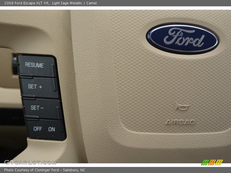 Light Sage Metallic / Camel 2009 Ford Escape XLT V6