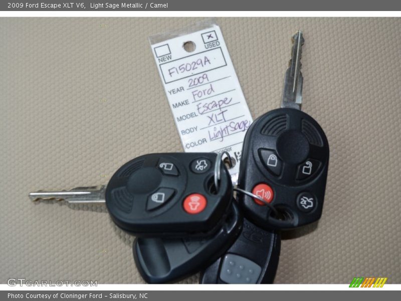 Light Sage Metallic / Camel 2009 Ford Escape XLT V6
