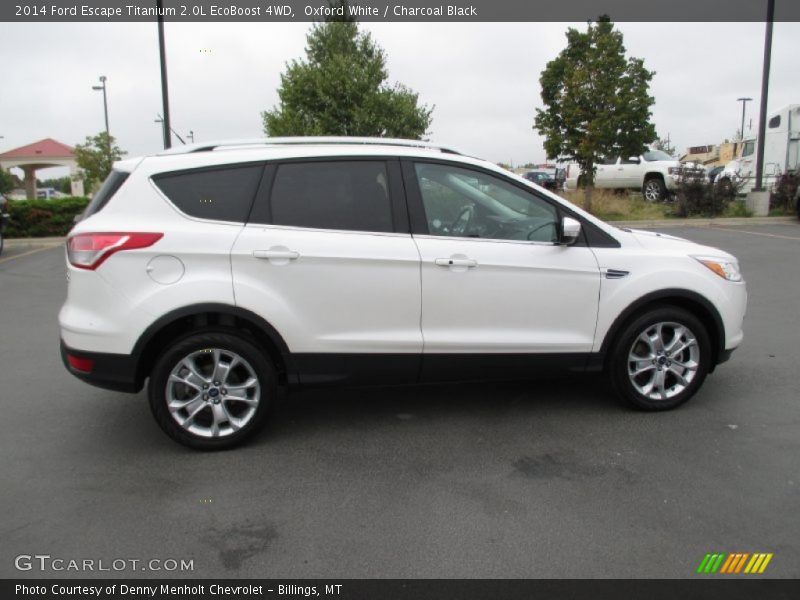 Oxford White / Charcoal Black 2014 Ford Escape Titanium 2.0L EcoBoost 4WD