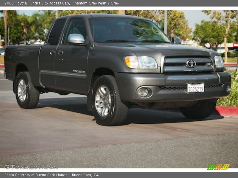 Phantom Gray Pearl / Gray 2003 Toyota Tundra SR5 Access Cab