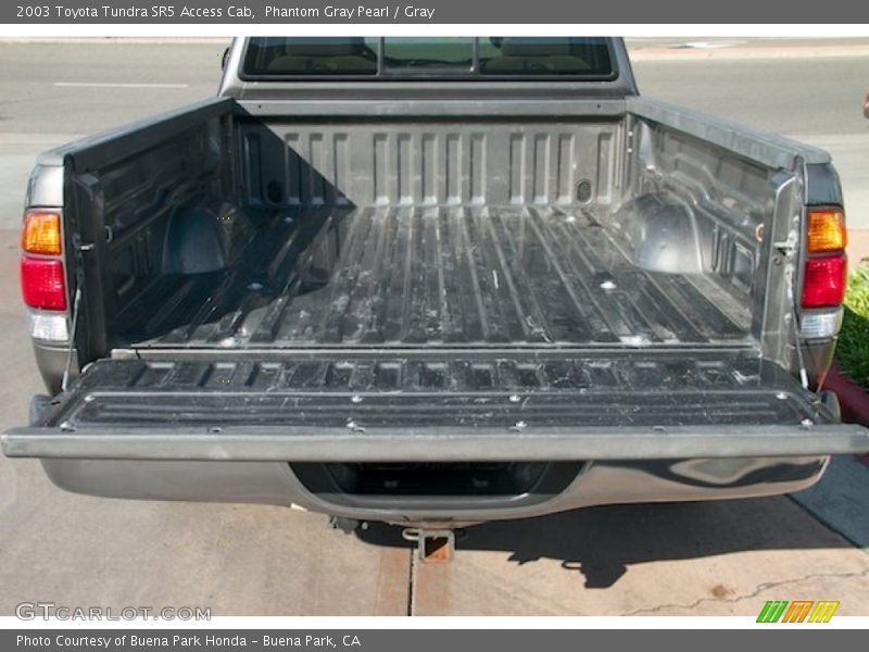 Phantom Gray Pearl / Gray 2003 Toyota Tundra SR5 Access Cab