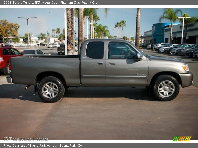 Phantom Gray Pearl / Gray 2003 Toyota Tundra SR5 Access Cab
