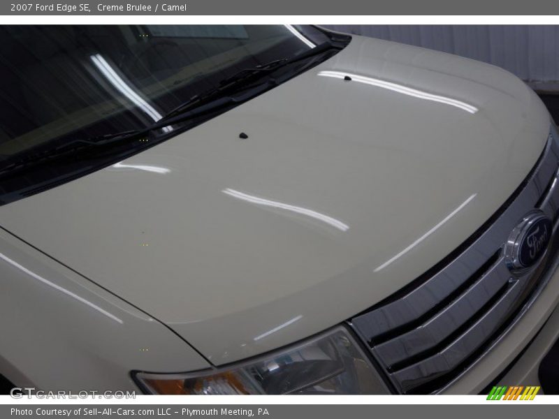 Creme Brulee / Camel 2007 Ford Edge SE