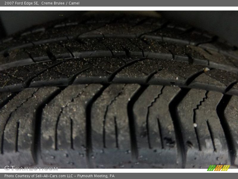 Creme Brulee / Camel 2007 Ford Edge SE
