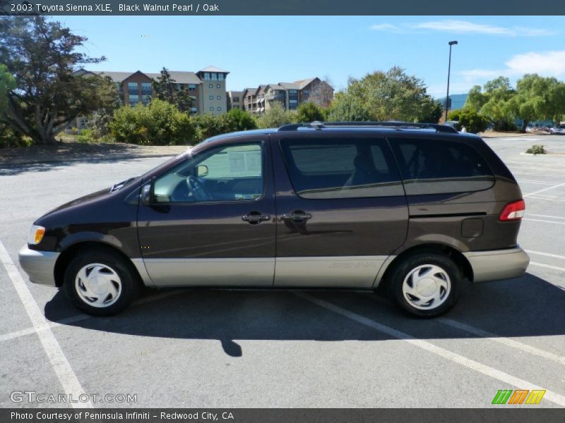 Black Walnut Pearl / Oak 2003 Toyota Sienna XLE