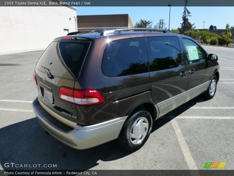 Black Walnut Pearl / Oak 2003 Toyota Sienna XLE