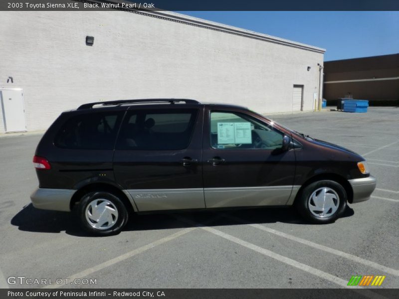 Black Walnut Pearl / Oak 2003 Toyota Sienna XLE