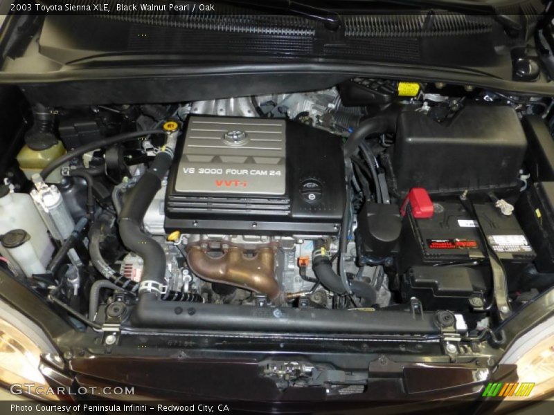 Black Walnut Pearl / Oak 2003 Toyota Sienna XLE