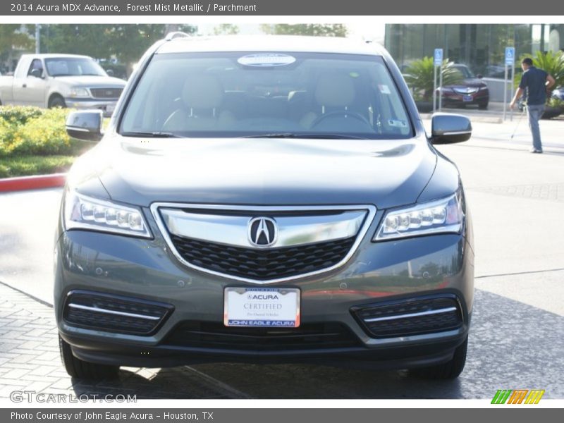 Forest Mist Metallic / Parchment 2014 Acura MDX Advance